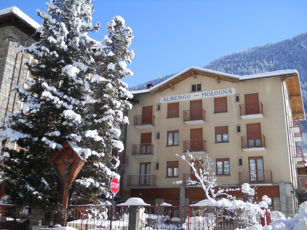 Albergo Mologna 加比 外观 照片